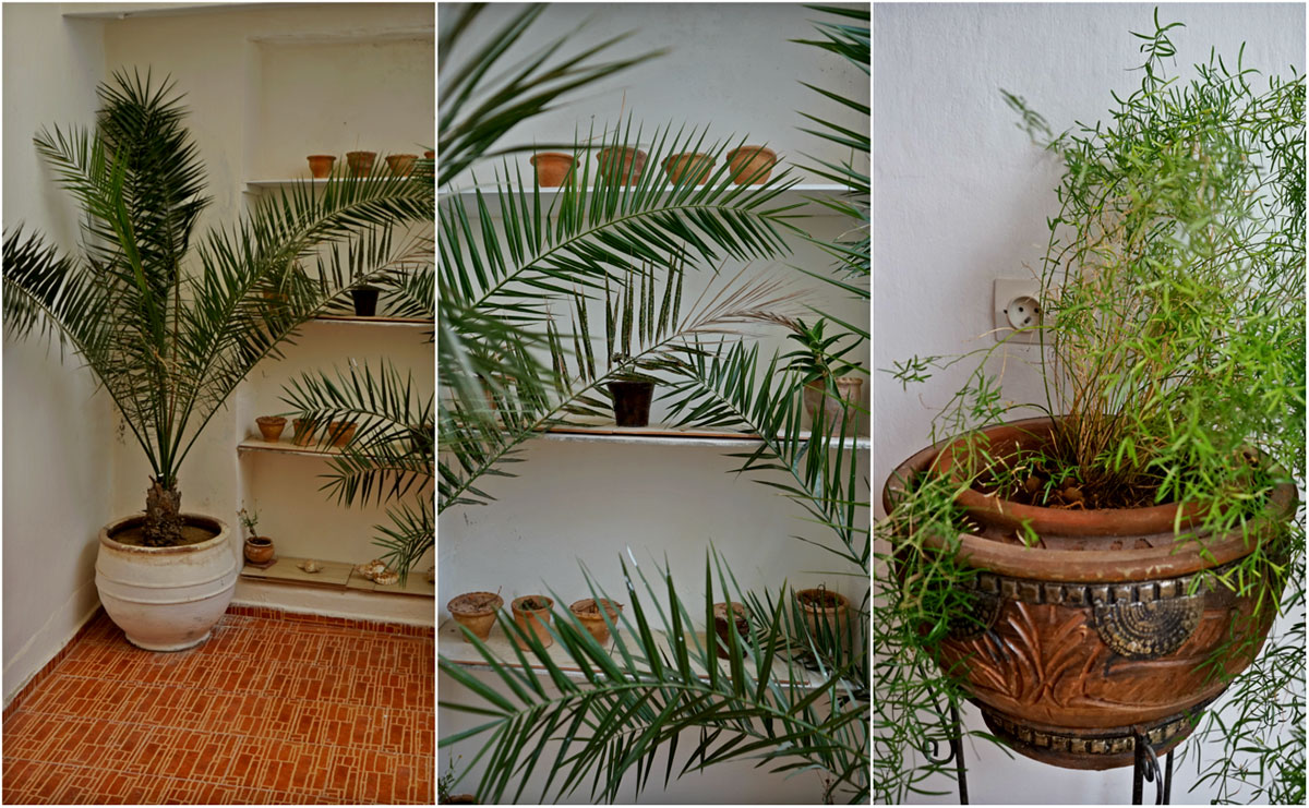 accommodation morocco